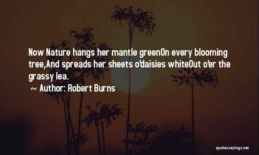 Robert Burns Quotes: Now Nature Hangs Her Mantle Greenon Every Blooming Tree,and Spreads Her Sheets O'daisies Whiteout O'er The Grassy Lea.