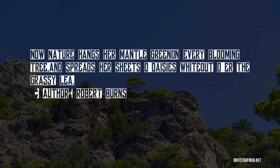 Robert Burns Quotes: Now Nature Hangs Her Mantle Greenon Every Blooming Tree,and Spreads Her Sheets O'daisies Whiteout O'er The Grassy Lea.