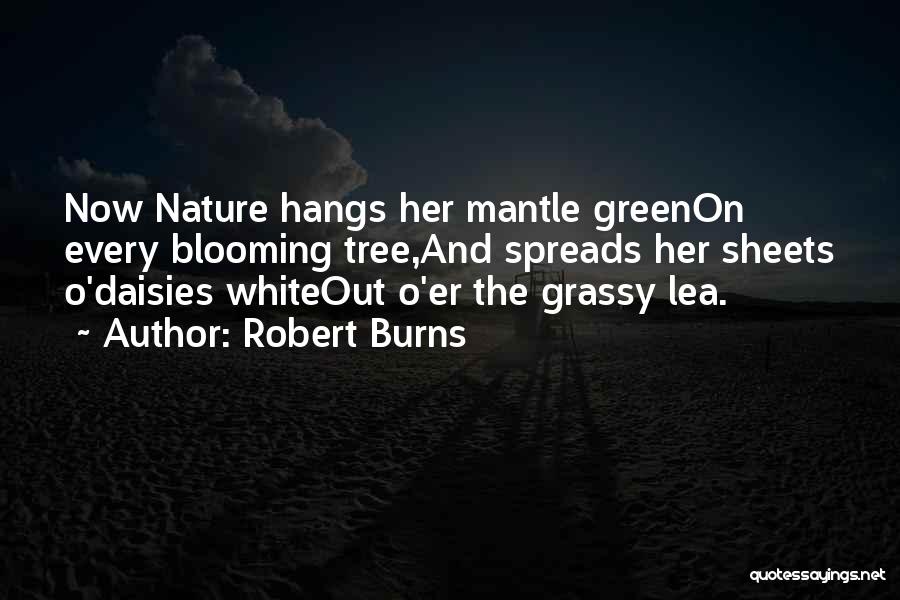 Robert Burns Quotes: Now Nature Hangs Her Mantle Greenon Every Blooming Tree,and Spreads Her Sheets O'daisies Whiteout O'er The Grassy Lea.