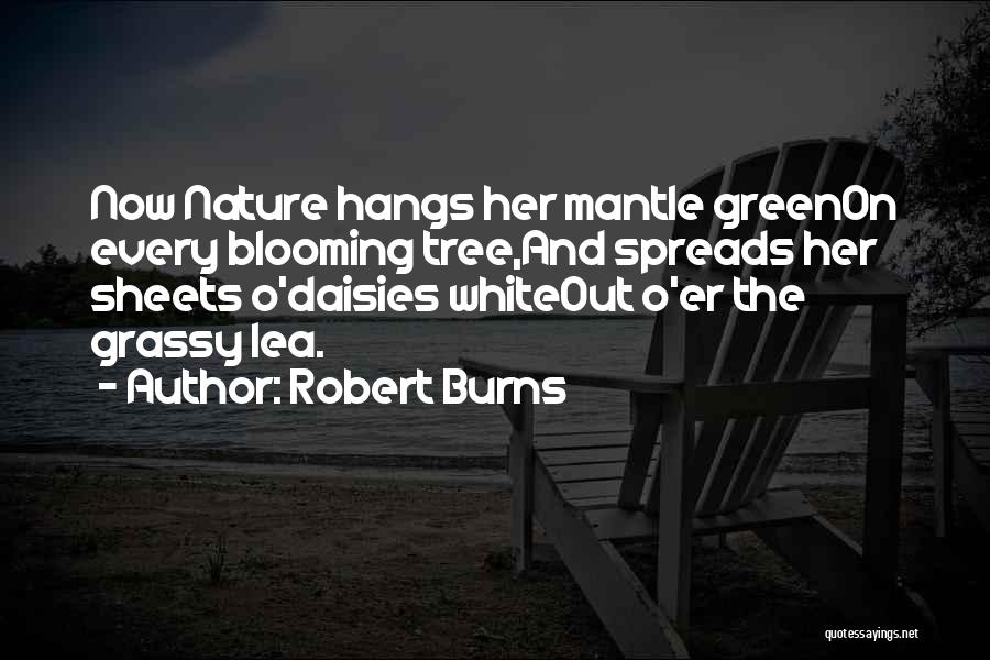 Robert Burns Quotes: Now Nature Hangs Her Mantle Greenon Every Blooming Tree,and Spreads Her Sheets O'daisies Whiteout O'er The Grassy Lea.