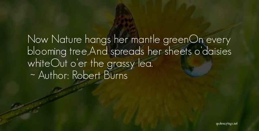 Robert Burns Quotes: Now Nature Hangs Her Mantle Greenon Every Blooming Tree,and Spreads Her Sheets O'daisies Whiteout O'er The Grassy Lea.