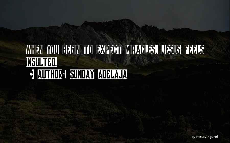 Sunday Adelaja Quotes: When You Begin To Expect Miracles, Jesus Feels Insulted.