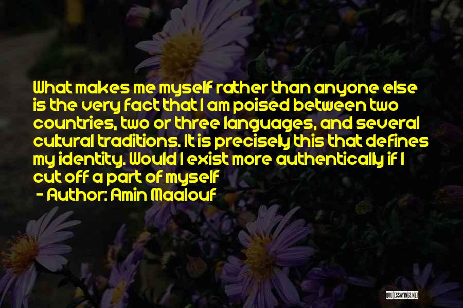 Amin Maalouf Quotes: What Makes Me Myself Rather Than Anyone Else Is The Very Fact That I Am Poised Between Two Countries, Two