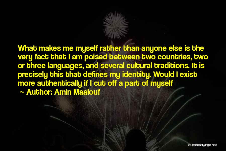 Amin Maalouf Quotes: What Makes Me Myself Rather Than Anyone Else Is The Very Fact That I Am Poised Between Two Countries, Two