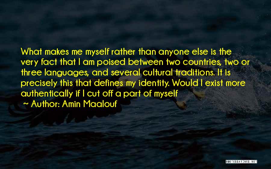 Amin Maalouf Quotes: What Makes Me Myself Rather Than Anyone Else Is The Very Fact That I Am Poised Between Two Countries, Two