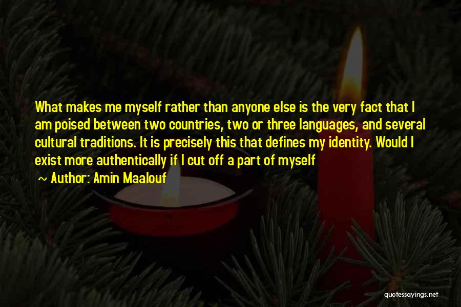 Amin Maalouf Quotes: What Makes Me Myself Rather Than Anyone Else Is The Very Fact That I Am Poised Between Two Countries, Two