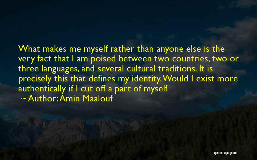 Amin Maalouf Quotes: What Makes Me Myself Rather Than Anyone Else Is The Very Fact That I Am Poised Between Two Countries, Two