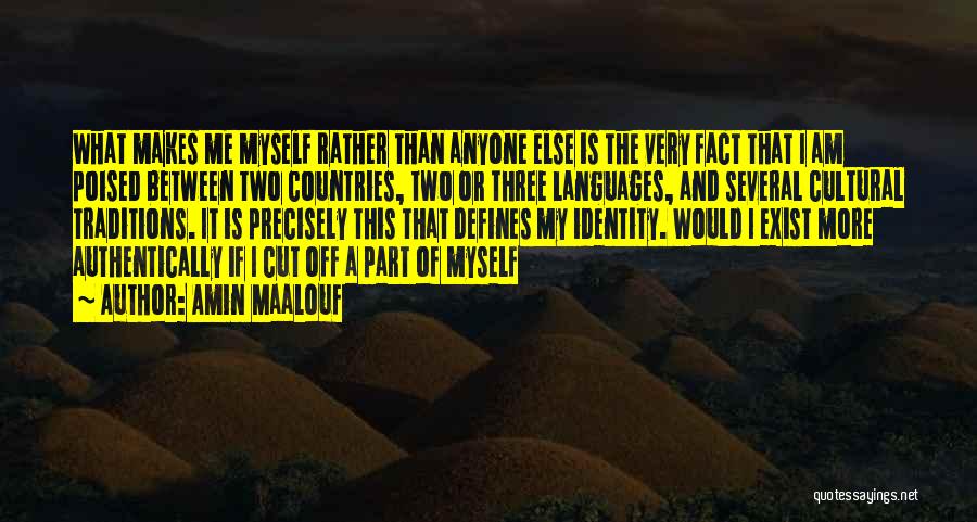 Amin Maalouf Quotes: What Makes Me Myself Rather Than Anyone Else Is The Very Fact That I Am Poised Between Two Countries, Two