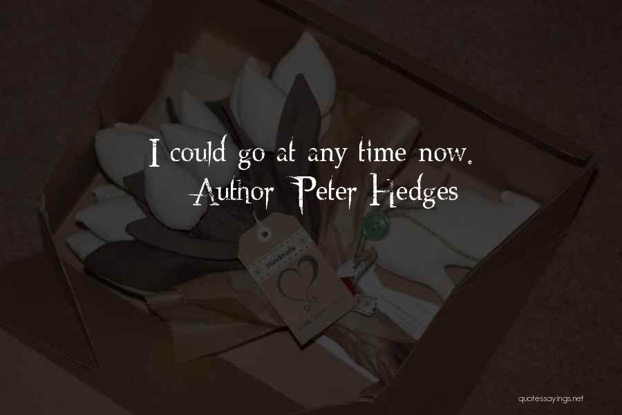Peter Hedges Quotes: I Could Go At Any Time Now.