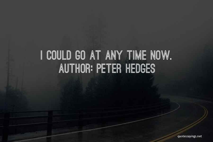 Peter Hedges Quotes: I Could Go At Any Time Now.