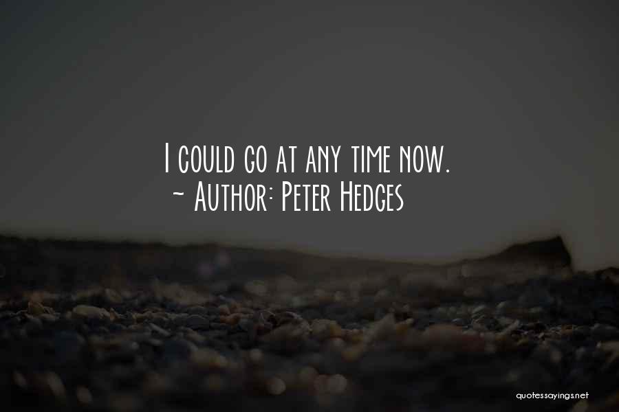 Peter Hedges Quotes: I Could Go At Any Time Now.