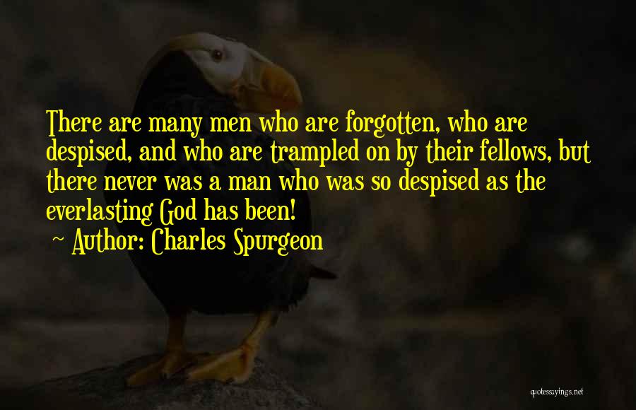 Charles Spurgeon Quotes: There Are Many Men Who Are Forgotten, Who Are Despised, And Who Are Trampled On By Their Fellows, But There