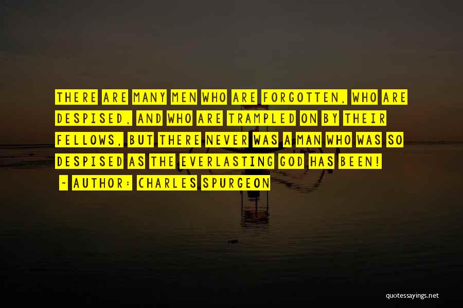 Charles Spurgeon Quotes: There Are Many Men Who Are Forgotten, Who Are Despised, And Who Are Trampled On By Their Fellows, But There
