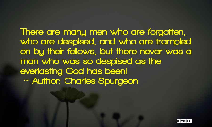 Charles Spurgeon Quotes: There Are Many Men Who Are Forgotten, Who Are Despised, And Who Are Trampled On By Their Fellows, But There