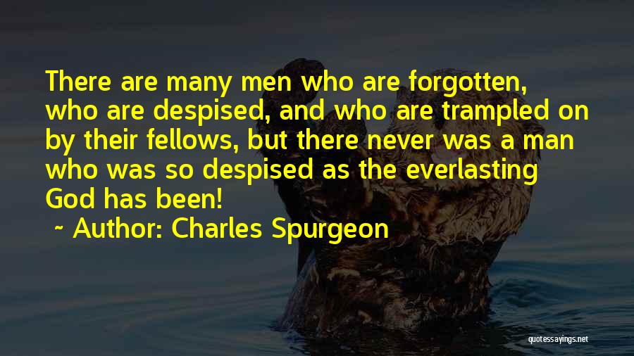 Charles Spurgeon Quotes: There Are Many Men Who Are Forgotten, Who Are Despised, And Who Are Trampled On By Their Fellows, But There