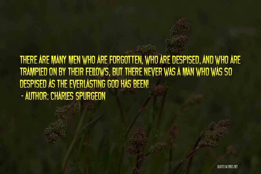 Charles Spurgeon Quotes: There Are Many Men Who Are Forgotten, Who Are Despised, And Who Are Trampled On By Their Fellows, But There