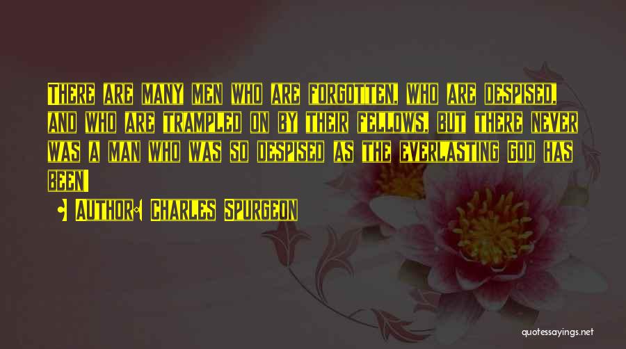 Charles Spurgeon Quotes: There Are Many Men Who Are Forgotten, Who Are Despised, And Who Are Trampled On By Their Fellows, But There