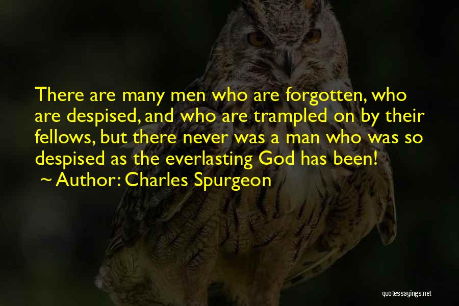 Charles Spurgeon Quotes: There Are Many Men Who Are Forgotten, Who Are Despised, And Who Are Trampled On By Their Fellows, But There