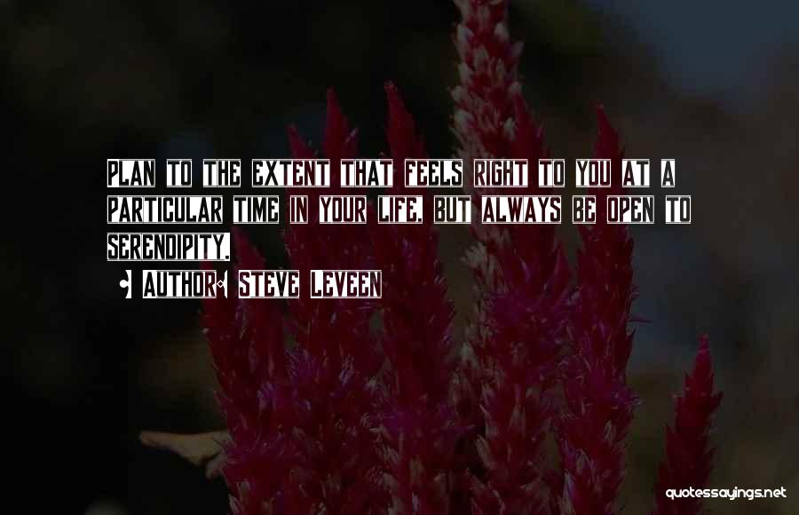 Steve Leveen Quotes: Plan To The Extent That Feels Right To You At A Particular Time In Your Life, But Always Be Open