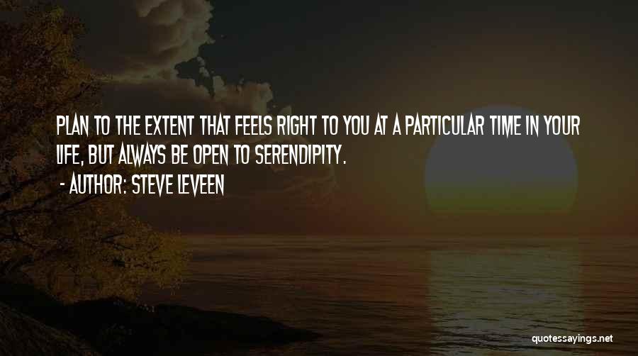 Steve Leveen Quotes: Plan To The Extent That Feels Right To You At A Particular Time In Your Life, But Always Be Open