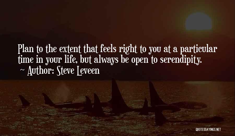 Steve Leveen Quotes: Plan To The Extent That Feels Right To You At A Particular Time In Your Life, But Always Be Open