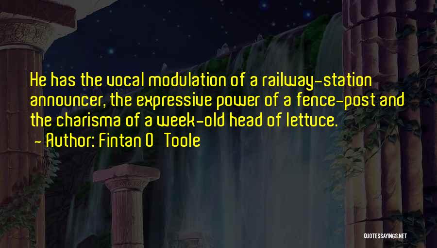 Fintan O'Toole Quotes: He Has The Vocal Modulation Of A Railway-station Announcer, The Expressive Power Of A Fence-post And The Charisma Of A