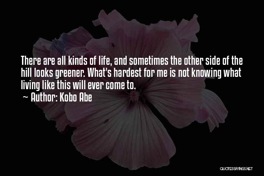 Kobo Abe Quotes: There Are All Kinds Of Life, And Sometimes The Other Side Of The Hill Looks Greener. What's Hardest For Me