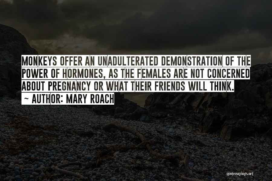 Mary Roach Quotes: Monkeys Offer An Unadulterated Demonstration Of The Power Of Hormones, As The Females Are Not Concerned About Pregnancy Or What