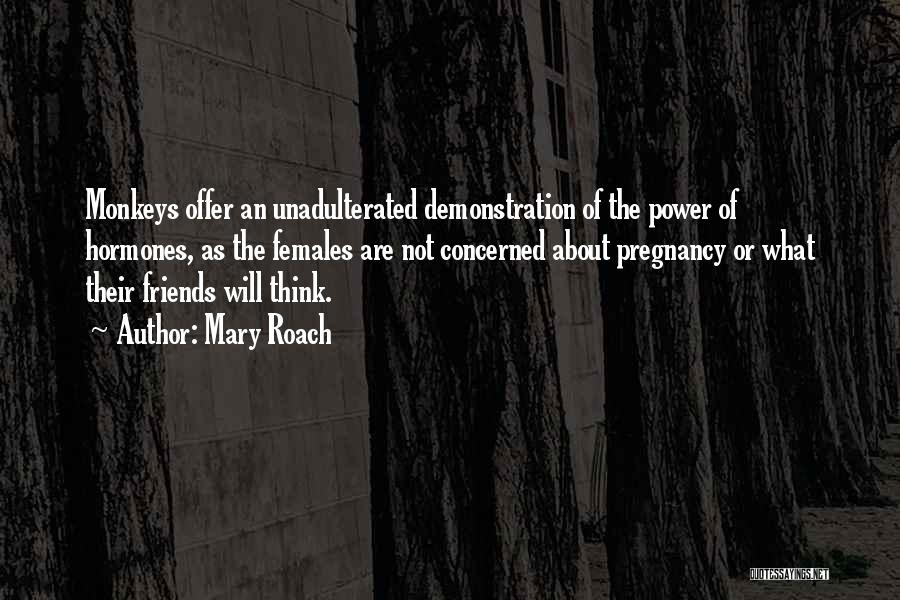 Mary Roach Quotes: Monkeys Offer An Unadulterated Demonstration Of The Power Of Hormones, As The Females Are Not Concerned About Pregnancy Or What