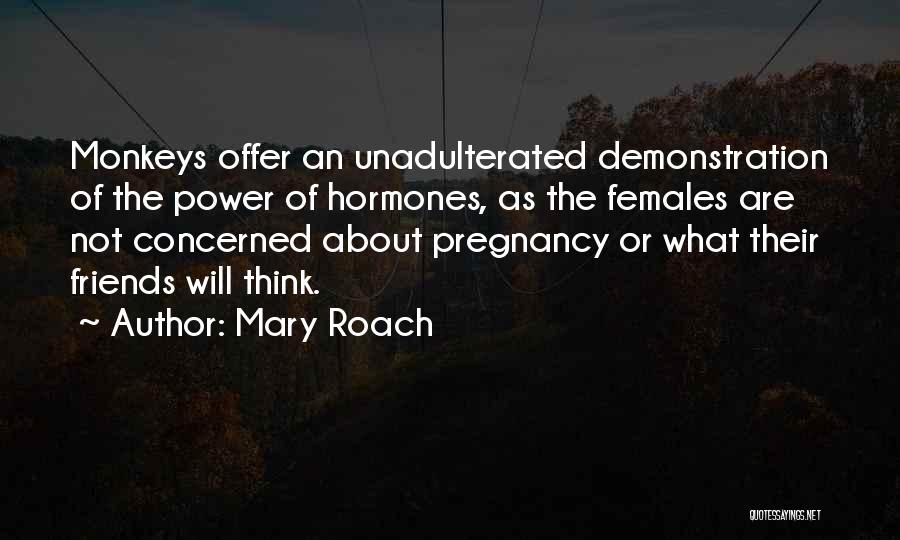 Mary Roach Quotes: Monkeys Offer An Unadulterated Demonstration Of The Power Of Hormones, As The Females Are Not Concerned About Pregnancy Or What