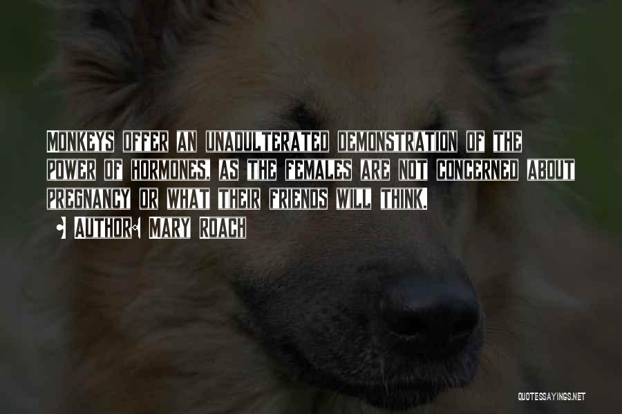 Mary Roach Quotes: Monkeys Offer An Unadulterated Demonstration Of The Power Of Hormones, As The Females Are Not Concerned About Pregnancy Or What