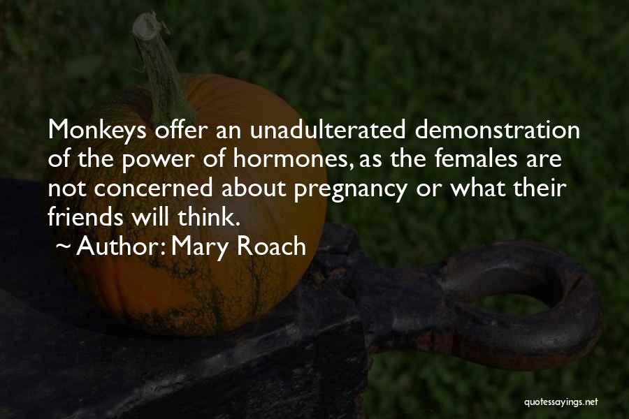 Mary Roach Quotes: Monkeys Offer An Unadulterated Demonstration Of The Power Of Hormones, As The Females Are Not Concerned About Pregnancy Or What