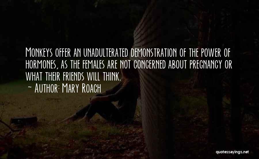 Mary Roach Quotes: Monkeys Offer An Unadulterated Demonstration Of The Power Of Hormones, As The Females Are Not Concerned About Pregnancy Or What