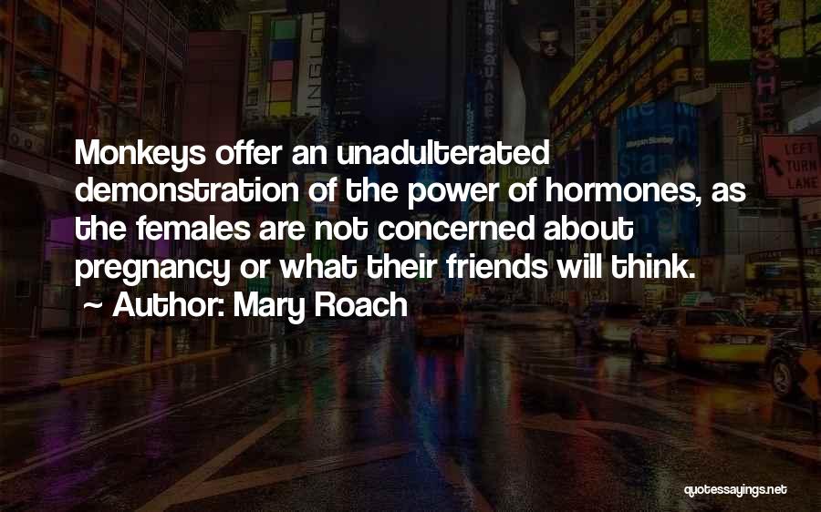 Mary Roach Quotes: Monkeys Offer An Unadulterated Demonstration Of The Power Of Hormones, As The Females Are Not Concerned About Pregnancy Or What