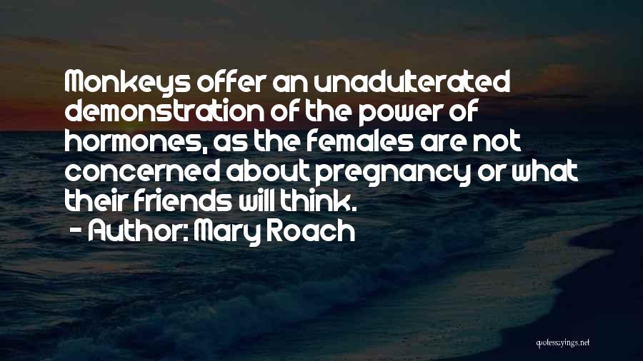 Mary Roach Quotes: Monkeys Offer An Unadulterated Demonstration Of The Power Of Hormones, As The Females Are Not Concerned About Pregnancy Or What