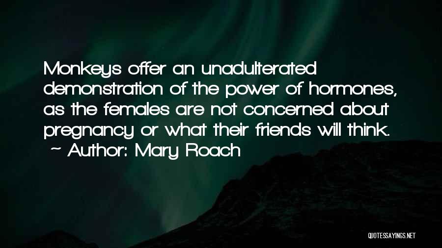 Mary Roach Quotes: Monkeys Offer An Unadulterated Demonstration Of The Power Of Hormones, As The Females Are Not Concerned About Pregnancy Or What