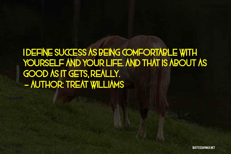 Treat Williams Quotes: I Define Success As Being Comfortable With Yourself And Your Life. And That Is About As Good As It Gets,