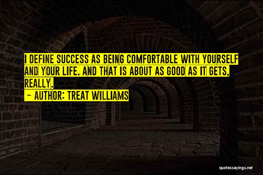 Treat Williams Quotes: I Define Success As Being Comfortable With Yourself And Your Life. And That Is About As Good As It Gets,