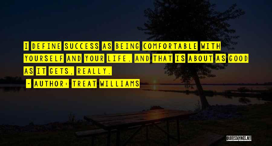 Treat Williams Quotes: I Define Success As Being Comfortable With Yourself And Your Life. And That Is About As Good As It Gets,