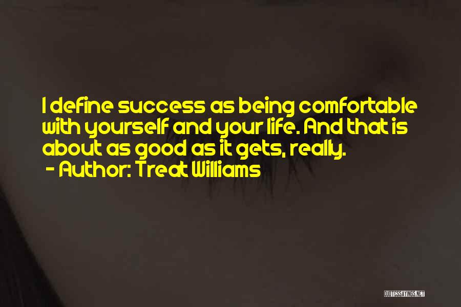 Treat Williams Quotes: I Define Success As Being Comfortable With Yourself And Your Life. And That Is About As Good As It Gets,