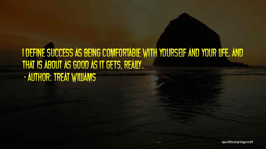 Treat Williams Quotes: I Define Success As Being Comfortable With Yourself And Your Life. And That Is About As Good As It Gets,