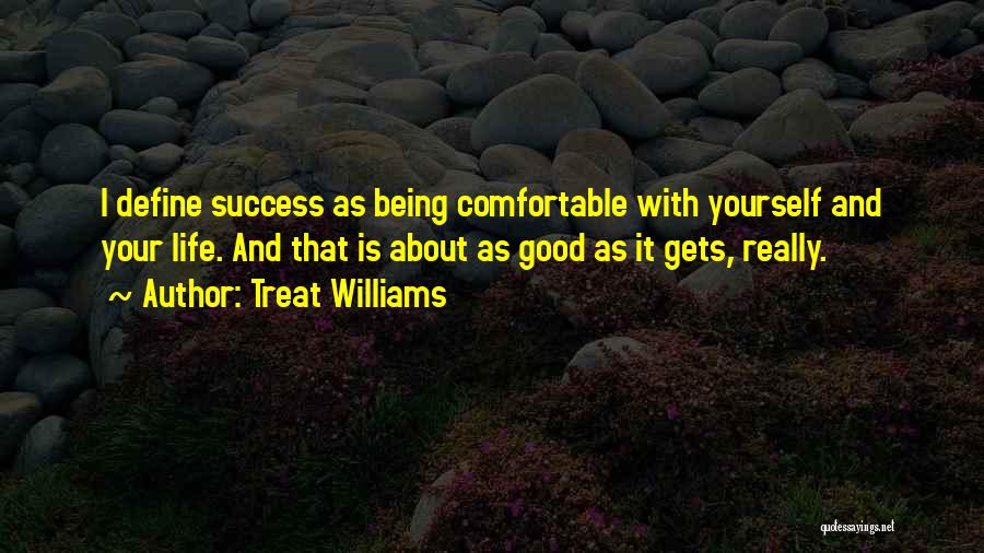 Treat Williams Quotes: I Define Success As Being Comfortable With Yourself And Your Life. And That Is About As Good As It Gets,