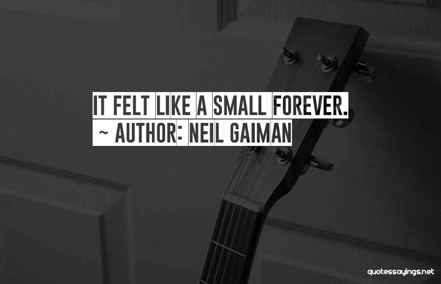 Neil Gaiman Quotes: It Felt Like A Small Forever.