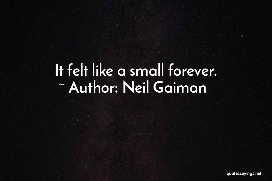 Neil Gaiman Quotes: It Felt Like A Small Forever.