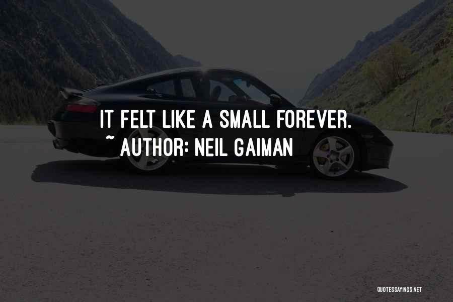 Neil Gaiman Quotes: It Felt Like A Small Forever.