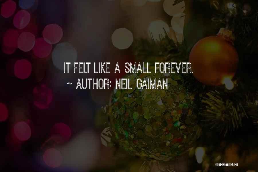 Neil Gaiman Quotes: It Felt Like A Small Forever.