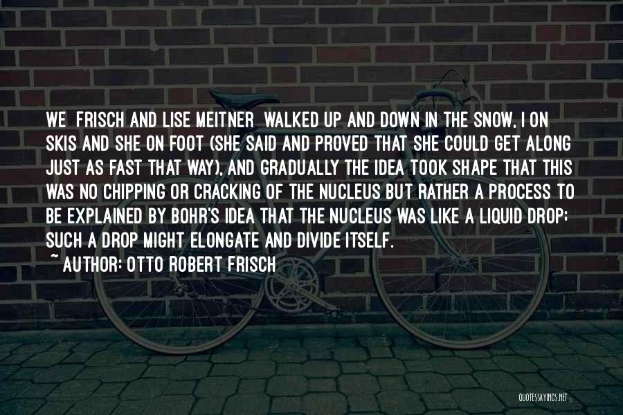 Otto Robert Frisch Quotes: We [frisch And Lise Meitner] Walked Up And Down In The Snow, I On Skis And She On Foot (she