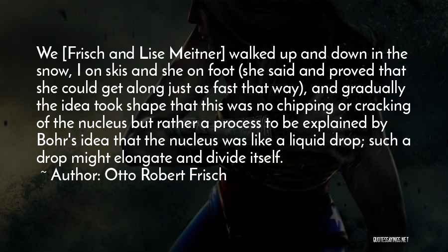 Otto Robert Frisch Quotes: We [frisch And Lise Meitner] Walked Up And Down In The Snow, I On Skis And She On Foot (she