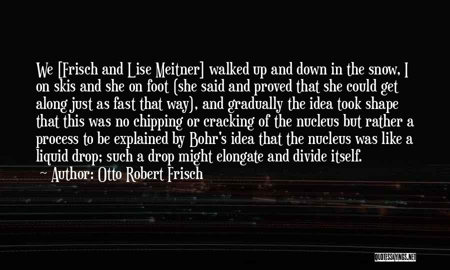 Otto Robert Frisch Quotes: We [frisch And Lise Meitner] Walked Up And Down In The Snow, I On Skis And She On Foot (she