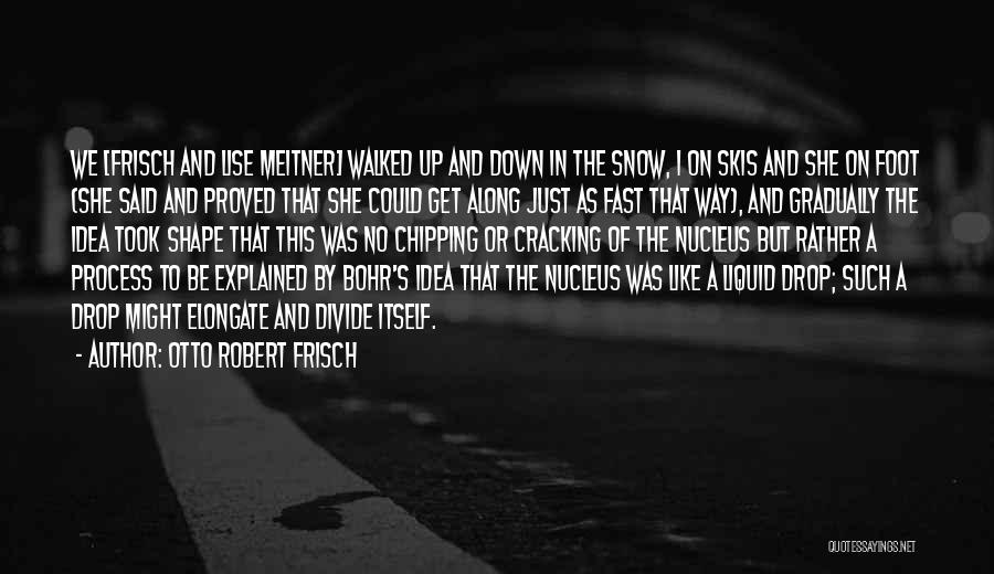 Otto Robert Frisch Quotes: We [frisch And Lise Meitner] Walked Up And Down In The Snow, I On Skis And She On Foot (she